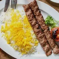 سالن  کار ویتر حرفه ای