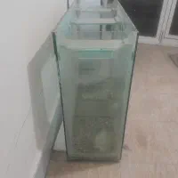 اکواریوم|ماهی|تربت‌حیدریه, پائین ولایت|دیوار