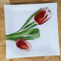 ظرف میوه خوری و پیش دست شیشه ای