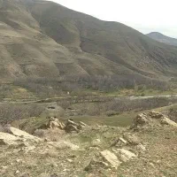 باغبان هستم