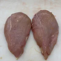 پخش فیله و شنیسل مرغ با نازل ترین قیمت روز