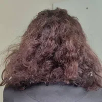 احیا مو فقط فقط۵۵۰موخوره گیری۲۰۰