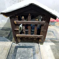 سگ .کلبه سگ|لوازم جانبی حیوانات|شیراز, تل حسین‌آباد|دیوار