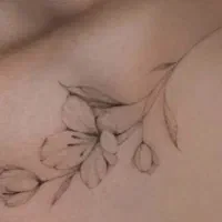 تخفیف پنجاه درصدی تتو روی کلیه طرح ها|خدمات آرایشگری و زیبایی|رشت, کاکتوس|دیوار