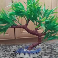 گیاه آکواریوم. شن.دماسنج.