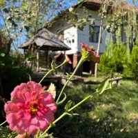 اجاره روزانه/هفتگی/ماهانه ویلا ۱۳۰ متری در طالقانی|اجارهٔ کوتاهمدت ویلا و باغ|لاهیجان, طالقانی|دیوار