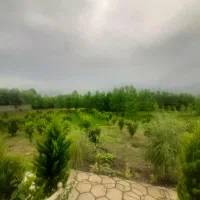 فروش ویلای لوکس 11 هزارمتری 4 خوابه سند تک برگ|فروش خانه و ویلا|گوراب زرمیخ, |دیوار