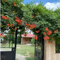 اجرا ،نگهداری ،طراحی فضای سبز