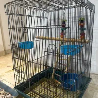 قفس طوطی کاسکو