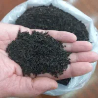 چای ممتاز،قلم،چوب چای-ارسال رایگان-پرداخت درب منزل