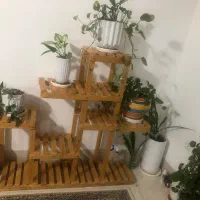 استند گل