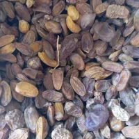کنگه