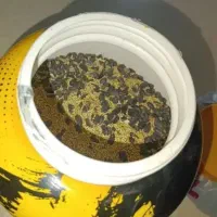 غذای عروس هلندی و وسایل|لوازم جانبی حیوانات|قدس, شهرقدس|دیوار