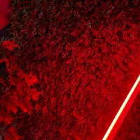 نانلایتPavoTubeT8-7X|دوربین عکاسی و فیلم‌برداری|تهران, مجیدآباد|دیوار