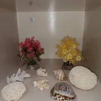 سنگ و تزئینات آکواریوم|ماهی|هشتگرد, |دیوار