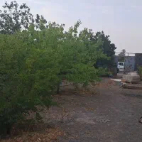 باغ-ویلا-نیمه-کاره-با-انشعابات-داخل-بافت