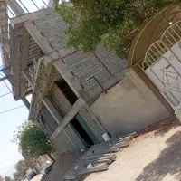 انجام کف ستون سقف اسکلت بتون باتیم حرفه ای|خدمات پیشه و مهارت|جیرفت, |دیوار