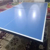 میز پینگ پنگ|تجهیزات ورزشی|یاسوج, |دیوار