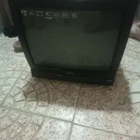 تی وی