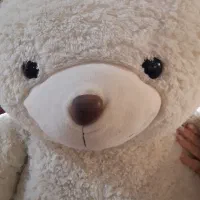 خرس بزرگ|اسباببازی بچه|تهران, نیروی دریایی|دیوار