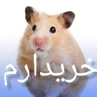 همستر طبق عکس