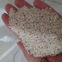 میان باری فجر