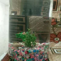 آکواریوم ۲۰ لیتری