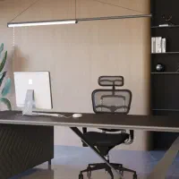 خانم مجرد مدیر داخلی و یک نفر منشی