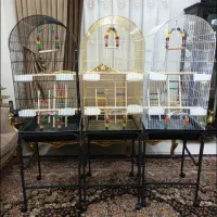 قفس ۱۰۳۳ پرنده عروس هلندی طوطی برزیلی گرینچیک راهب|لوازم جانبی حیوانات|تهران, جیحون|دیوار