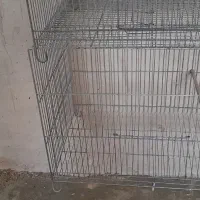 لانه پرنده|لوازم جانبی حیوانات|کاشان, قطب راوندی|دیوار