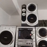 ضبط باند سالم