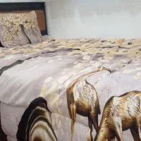 تخت خواب دو نفره با تشک سالم و در حد