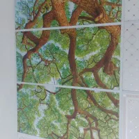 انواع سقف کاذب|مصالح و تجهیزات ساختمان|چهاردانگه (تهران), |دیوار