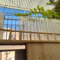 پکیچ