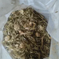 بلال علوفه ای|عمدهفروشی|قیدار, |دیوار