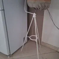 طوطی برزیلی|پرنده|رشت, گیل|دیوار