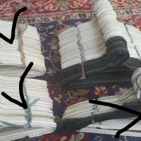 تعداد ۱۲۹چوب لباسی نوجوان فروش و معاوضه با حیوانات|بندرخت و رخت‌آویز|اصفهان, حصه شمالی|دیوار
