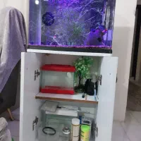آکواریوم شرکتی ۵۰لیتری کامل|ماهی|هشتگرد, فاز ۱ مهستان|دیوار