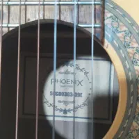 گیتار|گیتار، بیس، امپلیفایر|گناباد, |دیوار