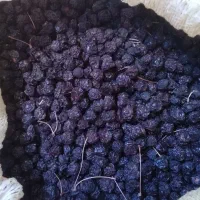 البالو خشک وتمیز