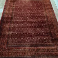 فرش ماشینی|فرش|صفادشت, |دیوار