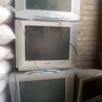 تلویزیون