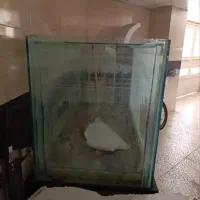 آکواریوم بزرگ|ماهی|تبریز, |دیوار