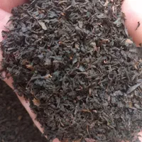 چای با عطرو طعم کشتزارهای گیلان|خوردنی و آشامیدنی|تهران, جنت‌آباد جنوبی|دیوار