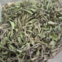 آویشن و چای کوهی سیری 75