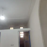 نقاشی تخصصی ساختمان|خدمات پیشه و مهارت|شیراز, گلشن|دیوار