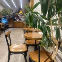 استخدام فوری سالنکار حرفه ای