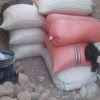 کاه لوبیا و عدس