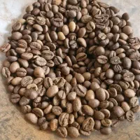 فروش عمده و خرده انواع قهوه و محصولات پودری