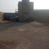 اجاره-سالن-مرغداری